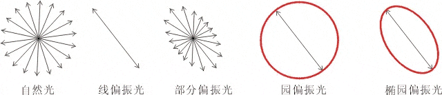 什么是偏振光？偏振光是如何完成檢測的？