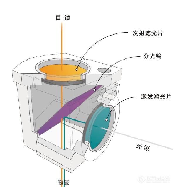 熒光顯微鏡常規光學(xué)元件應用圖