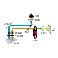 什么是熒光定量PCR、數字PCR？