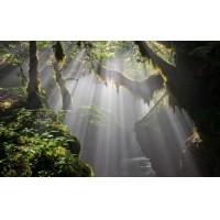光的干涉、衍射、折射、反射、散射